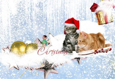 Christmas Kittens - gifts, presents, snow, stars, feliz navidad, kitten, frost, decorations, xmas, kitties, winter, balls, cat, christmas, ice, sled, icicles, kitty