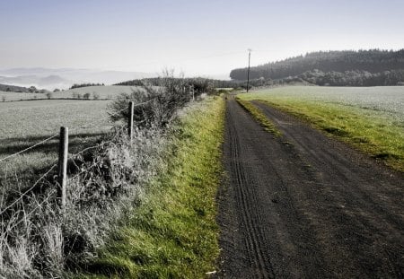 wonderful green hue on a country raod - fields, road, fence, green