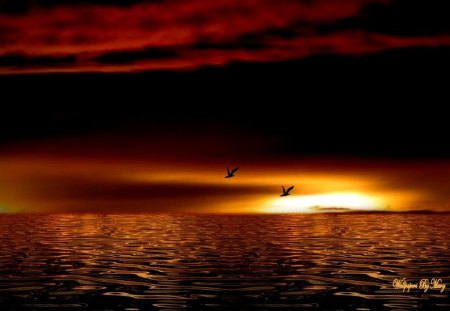 Burnished Amber - sunsets, oceans, lakes, birds