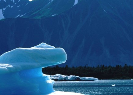 Iceberg on the Lake