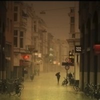 Rain by Frans Peter Verheyen