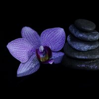 Zen