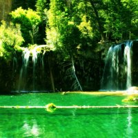 waterfall in green forest