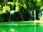 waterfall in green forest