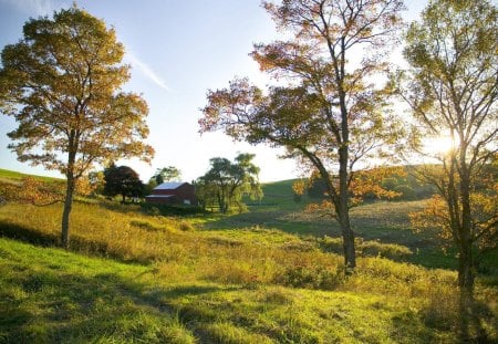 golden rays on a farm in ohio - sun rays, hills, trees, farm