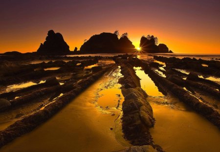 wondrous beach in olympic np washington - lines, sunset, beach, rocks