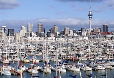 Auckland, New Zealand, marina - auckland, marina, zealand, new