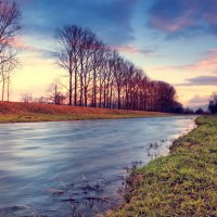 field, river, trees