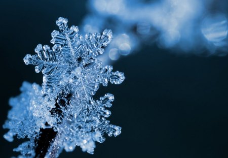 SnowFlake - snow, flake, winter, blue