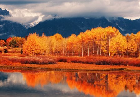 Lake Reflection - autumn, landscape, water, leaves, mountains