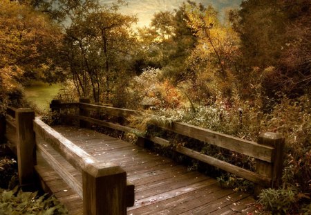 Bridge - architecture, autumn, bridge, trees