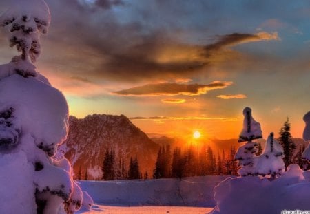 'Splendid Sunrise in Winter' - attractions in dreams, scenery, landscape, snow, sunrise, splendid, holiday, seasons, sky, clouds, trees, winter, beautiful, beauty, colors, xmas and new year, cool, christmas, wonderful, frozen, nature, bright, white trees, love four seasons, mountains