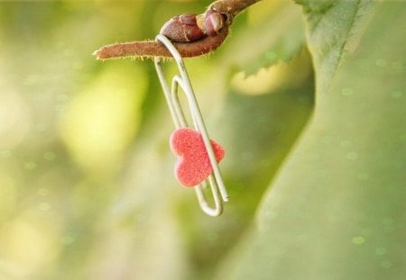 ❤ - heart, green, bough, cute, paperclip