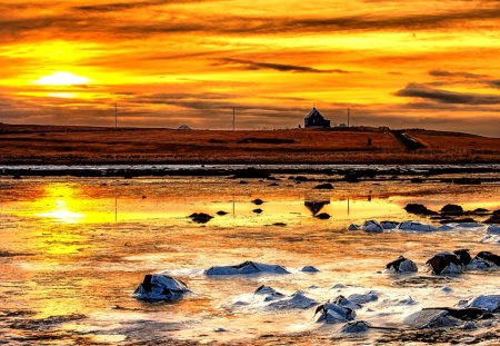 GOLDEN SUNSET - field, nature, water, sunset