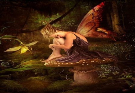 beautiful butterfly - animation, fantasy, people, beautiful, photography, entertainment, other