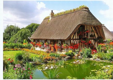 Woodland-Cottage - woodland, picture, cool, cottage