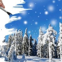 Paint a Winter Picture