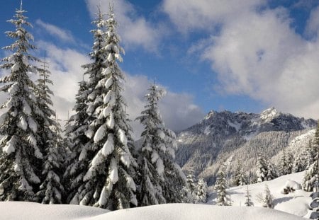 Winter in the Mountains - white, winter, nature, mountain, sky