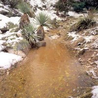 Arizona Trail Park in Winter