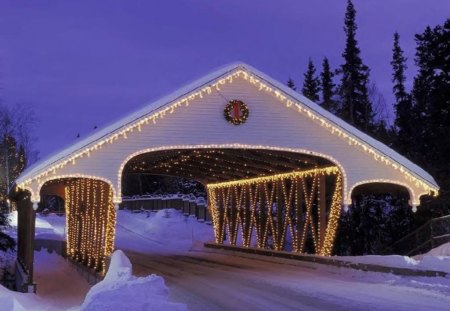 Decorated Bridge - trees, lights, road, sky, bridge