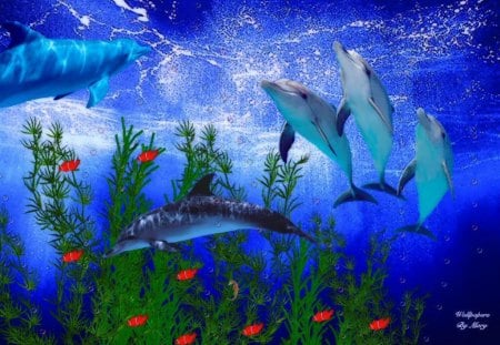 Dolphin Gathering - clownfish, dolphins, underwater, marinelife, fish