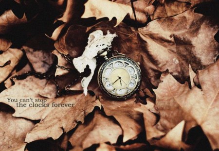 Stop the Clocks - leaves, clocks, autumn, time