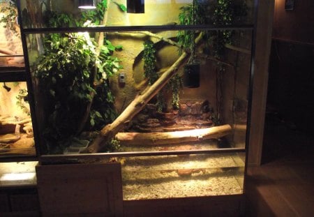 mijn vivarium - thuis, huisvesting, reptiel, wateragamen