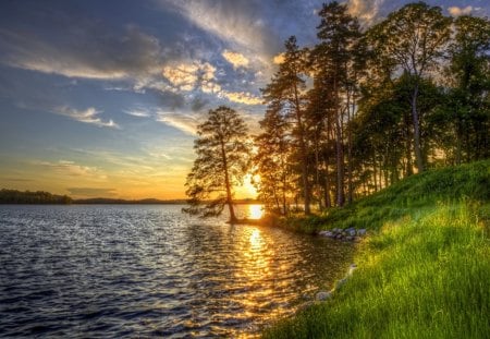 Golden Hour - nature, lake, golden, sun, hour