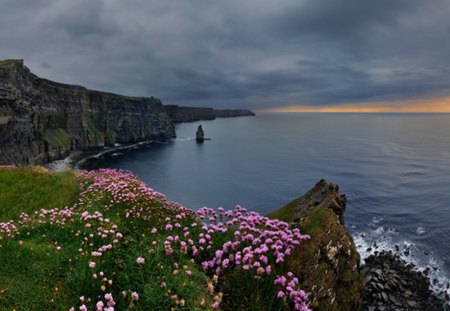 â™¥ - ocean, flowers, sea, flower, rocks