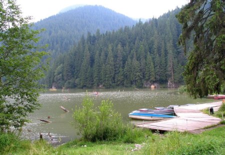 Red Lake ~ Romania - lacul rosu, water, summer, green, red lake, forest, mountain, tree