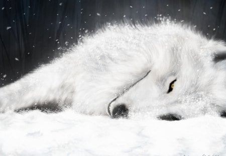 The Last Breath - wolf, white, snow, animal, laying down