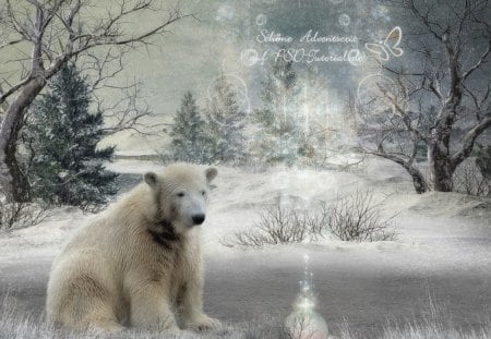 Happy Advent - ice, drezdany art, winter, advent, christmas bauble, snow, polar bear