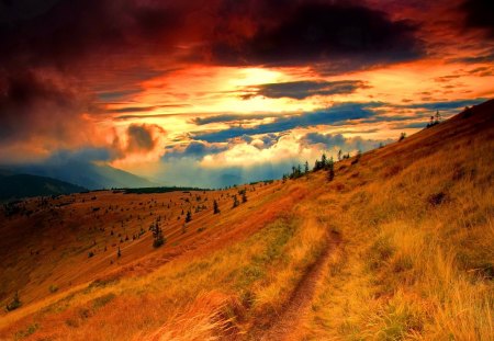 Mountain slope in autumn - nice, autumn, sky, slope, sundown, trees, popular, mountains, field, sunset, path, amazing, fall, clouds, orange, sunsets, golden, grass, mountain, wallpaper, lovely, nature, fiery, red, beautiful, colors, sunrise