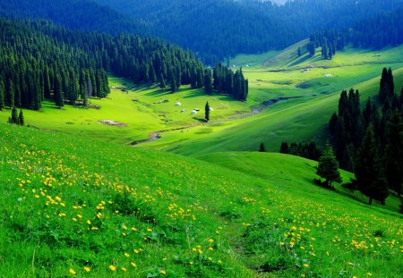 Mountain greenery - nice, sky, sunshine, slope, trees, delicate, greenery, meadow, mountainscape, pretty, green, grass, rays, sunlight, mountain, summer, tender, lovely, nature, beautiful, delight, flowers, wildflowers