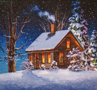 Winter house