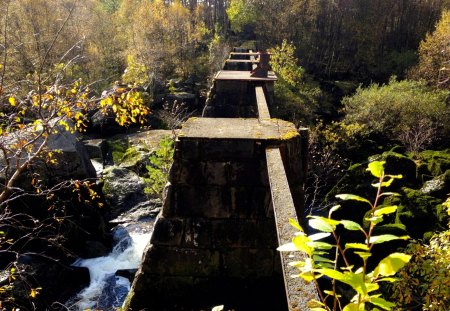 Old Bridge - trees, waterfalls, water, beautiful, fall, nature, green, bridge, rocks