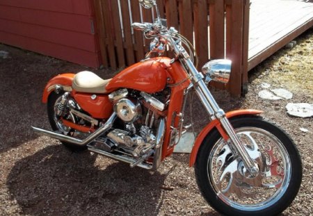  Customized 1992 HD Sport 1200 - hd, sport, motorcycle, nl