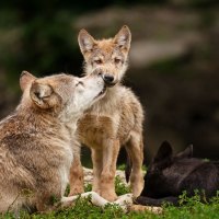 Mother and child