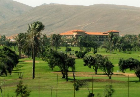 the Green - hotel, mountains, golf, tree, trees, abstract, green