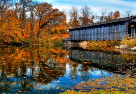 End of Aumtumns beauty - fall, river, nature, autumn, colors, bridge trees, leaves