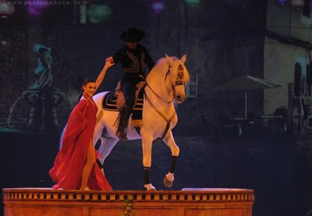 Appasionata-Flamenco Performance - spanish, horses, appasionata, dance, performance, andalusian