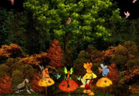 Fairy Hideout - fairies, toadstools, forests, fantasy, fairy