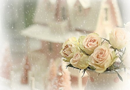 ♥ christmas-december♥ - christmas, flowers, december, nature