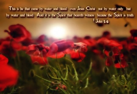 For the Spirit is Truth - blood, holy spirit, jesus, water, spirit, fields, morning, god, bible verses, flowers, scriptures, sunset, truth, bible