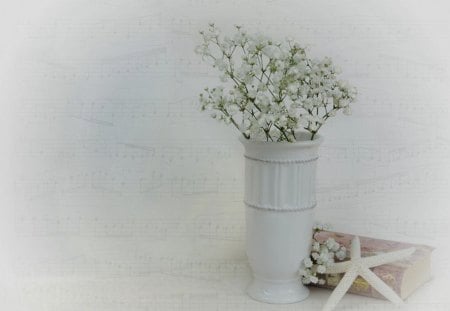 Still Life - still, life, shell, flowers, vase