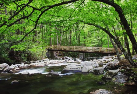 bridge over mountain stream in tennessee - stream, bridge, eocks, forest