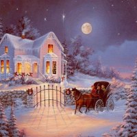 \'Scenic carriage ride in the snow\'