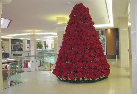 Poinsettias red Christmas tree at the Mall - flowers, red, photography, poinsettia, gold