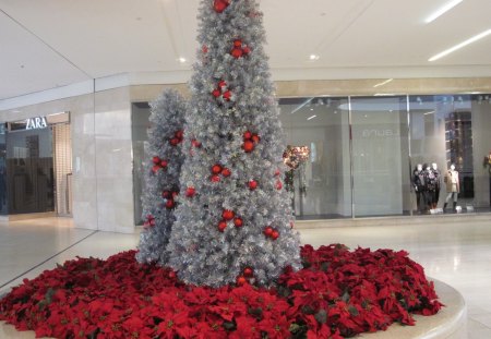 Red Poinsettias with a silver tree