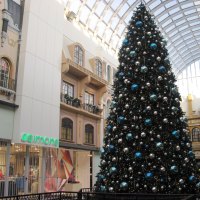 The tallest Christmas tree at the Mall